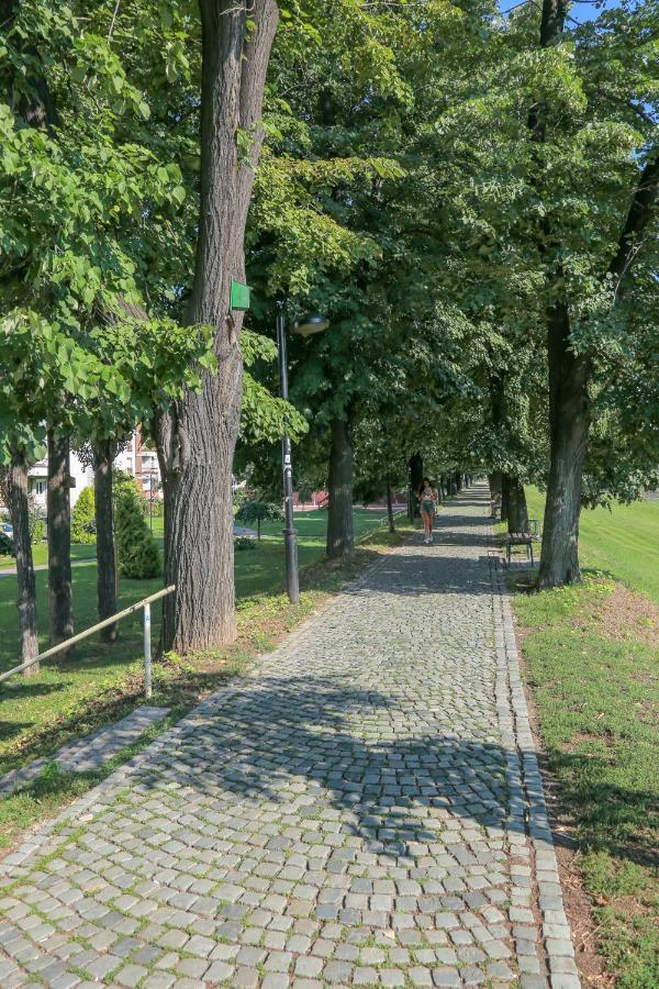 Apartman Marija Διαμέρισμα Πίροτ Εξωτερικό φωτογραφία